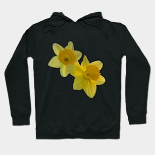 Daffodils in Bloom Hoodie